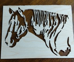 IMG_20170504_163730298.jpg