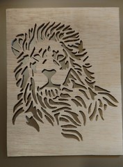 IMG_20170506_163909194.jpg