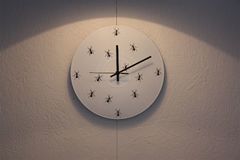 Ants Vinyl Clock