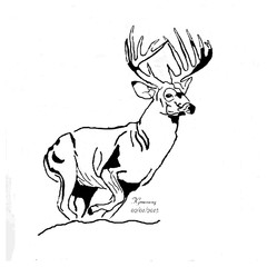 RunningWhitetail Buck