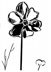 Poetsdaffodil.jpg