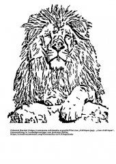 Lion.JPG