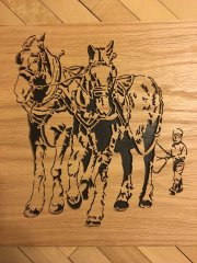 Whole Lot of Horsepower