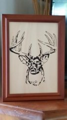 Stag