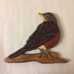 Robin