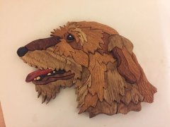 Irish Wolfhound
