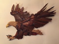 Sea Eagle