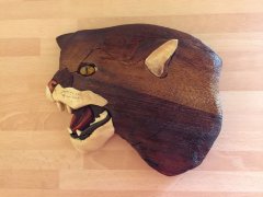 Scottish Wild Cat