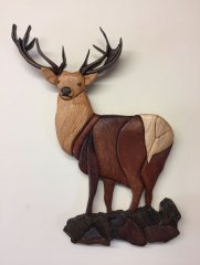 Stag