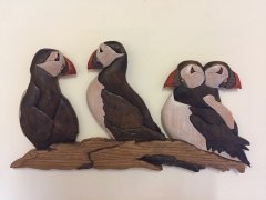 Puffins