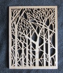 Birch Tree Forest