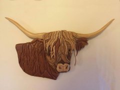 Heilan Coo