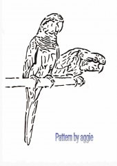 QuakerParrots.jpeg