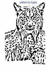 Lynx