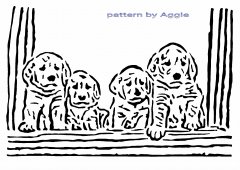 Puppies