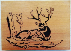Resting Stag