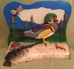 Segmented Wood Duck, 8-25-2017