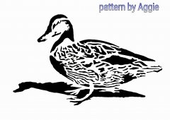 Duck.jpeg