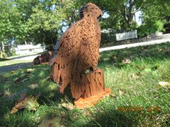 IMG_0035.jpg