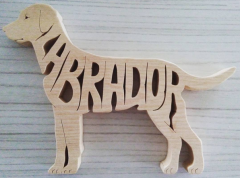 Labrador Dog