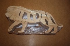 Lion-opt.jpg