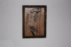 Snake Framed