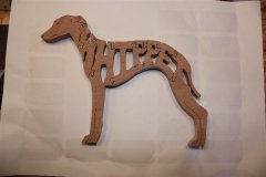 Whippet