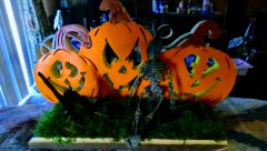 pumpkins.jpg
