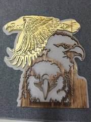 eagles