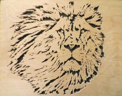 Lion Head (1).JPG