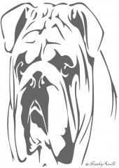 Boxer