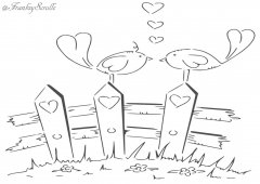Love Birds