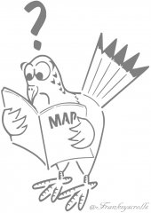 Homing Pigeon