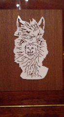 alpaca