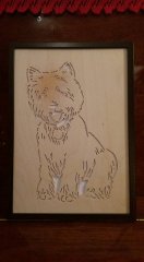 "Westie" - West Highland Terrier