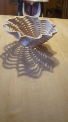 20180408_090753.jpg