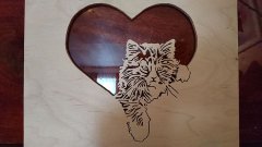 Kitty love