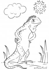 Lizard Warm Up