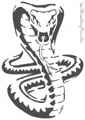Cobra