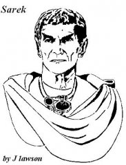 Sarek.pattern.jpg