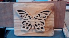 butterfly.jpg