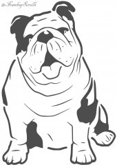 English Bulldog