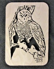 Owl