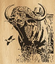 039-buffalo