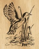 040-duck