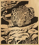 042-leopard