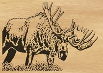 051-moose