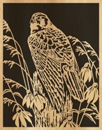 052-kestrel