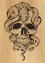 053-skull