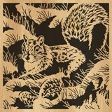 056-squirrel